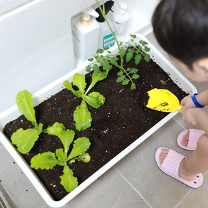 Maceta Clásica de Estilo Orgánico Verde, Ligera, de Plástico, para Balcón, Jardín, Interior, Decoración del Hogar, Personalizable, Plafarm - Product Image 2