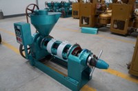 Presse à huile commerciale automatique Guangxin à vis, pour pressage à froid et à chaud, multi-huiles (arachide, avocat), extracteur économe en énergie 250 kg/h
