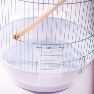 Anti Escape Lock Design Metal Bird Cage Safe Feeding Box For <b>Small</b> Parrots Daily Breeding - Product Image 6