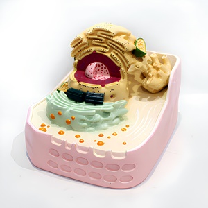 <span class=keywords><strong>Modelo</strong></span> de Enseñanza de Ultraestructura Celular Animal y Vegetal (Componente Único) - Product Image 5