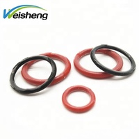 WS-SEALS Ptfe Fep Pfa gekapselter O-Ring mit Silikon fkm vmq Kern
