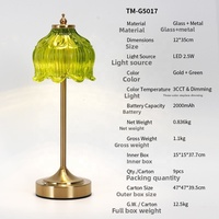 Lampe de table décorative sans fil rechargeable DC moderne en fer et verre, avec contrôle tactile E26, LED 2700K, Type-C, à intensité variable, pour salon