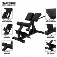 Chaise romaine la plus vendue pour salle de sport commerciale, banc d'extension dorsale, machine d'entraînement corporel, banc romain