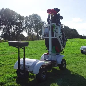 Carrito de golf eléctrico, patín de 15 años de fábrica, con informe de prueba