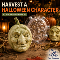 Moule de culture de citrouille visage de sorcière d'Halloween, en plastique transparent, deux pièces, pour la création de fruits artificiels, projets de jardinage DIY, décorations saisonnières, lot de deux