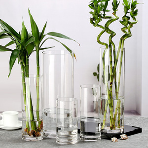 <span class=keywords><strong>Grand</strong></span> <span class=keywords><strong>vase</strong></span> <span class=keywords><strong>en</strong></span> <span class=keywords><strong>verre</strong></span> <span class=keywords><strong>transparent</strong></span>, hauteur 50 cm, diamètre 25 cm, design moderne fait à la main, Chine, bambou porte-bonheur, lys, <span class=keywords><strong>cylindrique</strong></span>, droit - Product Image 3