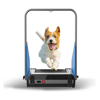 Tapis de course pliable avec télécommande pour chien et chat, vente en liquidation, Mini Machine de course Portable