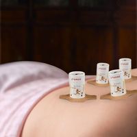 Ensemble de moxibustion suspendu à succès pour améliorer la circulation sanguine, à base d'armoise naturelle
