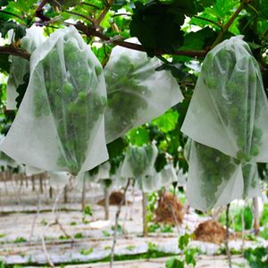 100% polypropylène banane tas couverture sac Spunbond Non tissé tissu préfabriqué perforé complet sac de protection pour banane - Product Image 4
