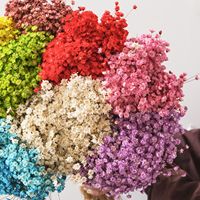 Groothandelsprijs Hoge Kwaliteit 12cm Gedroogde Chasmanthium Kunstmatige Ge conserveerde Mini Sterbloemen 12cm voor Valentijnsdag Kerstmis