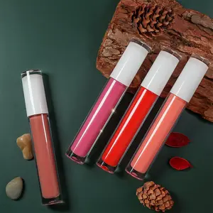 OEM kein Logo Private Label Spiegel Lip gloss Kräuter wasser Licht Lip glasur feuchtigkeit spendend Lip gloss Ihr Logo anpassen kleine MOQ