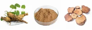 ผงสกัดจากราก Polygonum multiforum ผง HE <span class=keywords><strong>Shou</strong></span> <span class=keywords><strong>Wu</strong></span> จำนวนมาก - Product Image 4