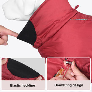 Veste de <span class=keywords><strong>chien</strong></span> <span class=keywords><strong>pour</strong></span> nouvelle arrivée manteau de <span class=keywords><strong>chien</strong></span> étanche à l'eau, manteau de <span class=keywords><strong>chien</strong></span> de concepteur en gros, veste en duvet imperméable <span class=keywords><strong>pour</strong></span> animaux de compagnie 2024 - Product Image 2