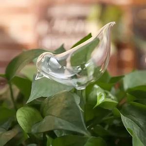 Système d'<span class=keywords><strong>arrosage</strong></span> <span class=keywords><strong>automatique</strong></span> pour plantes d'<span class=keywords><strong>intérieur</strong></span> en forme d'oiseau pour balcon familial, <span class=keywords><strong>arrosage</strong></span> et irrigation des fleurs - Product Image 3