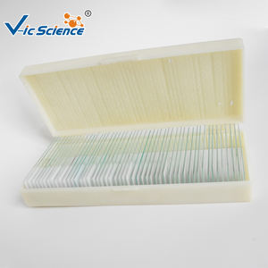 Lames préparées d'histologie humaine : Papille gustative de la langue de lapin, organes sensoriels humains, histologie médicale - Product Image 4