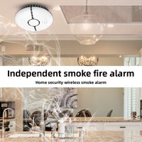 Detector de Humo Inteligente WiFi para el Hogar, Material PC, Diseño Graffiti, Control por Aplicación, Sensor de Seguridad Inalámbrico, Alarma de Concentración, Uso Universal