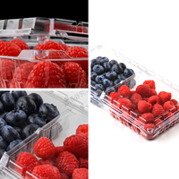 Kontainer Buah Blueberry 12 OZ PET Transparan Dua Kompartemen dengan Lubang Ventilasi