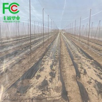 Filet anti-insectes en polyéthylène de 120 g pour la protection des mouches des fruits dans les jardins potagers