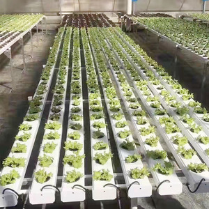 Serre hydroponique carrée personnalisable et écologique, multi-niveaux, moderne, en plastique blanc, grand pot de fleurs de 3 à 5 L pour jardin - Product Image 4