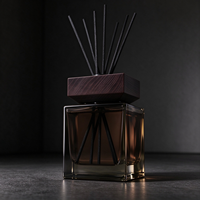 Diffuseur de parfum carré en verre pour la maison, flacon d'huile essentielle, désodorisant, ensemble de contenants de parfum