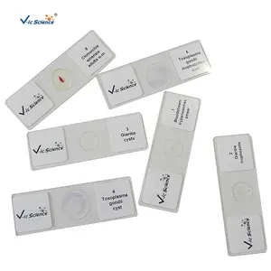 Juego de Portaobjetos Preparados de Parasitología para Ciencias Médicas, Portaobjetos de Parasitos para Microscopio - Product Image 1