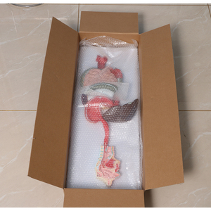Modelo de anatomía esquelética humana de fábrica Modelo de sistema digestivo - Product Image 2