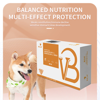 Vitamines personnalisées pour chiens et suppléments de récupération efficaces Poudre d'électrolytes de glucose pour les soins de santé des animaux de compagnie