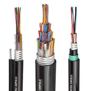 10 paires 20 paires 50 paires conduit autoportant aérien BC 0.4/0.5/0.64mm câble télécom extérieur câble téléphonique HYATC HYAC HYAT