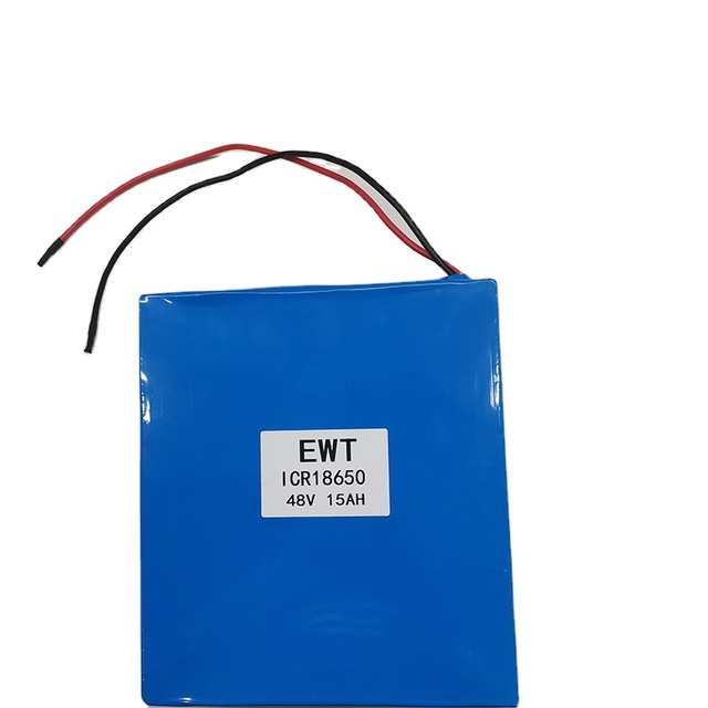 48v 15ah Li-Ion Battery ICR18650 with 2A Charger & BMS for E-Bike