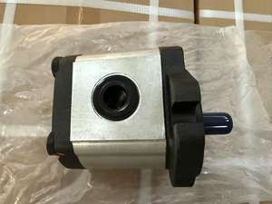 Hydraulische Zahnradpumpen 200bar 1/2inch Gusseisen 1,3 cm³/2cm ³/2,7 cm³/4,1 cm³/5,1 cm³/6,1 cm³ hydraulische Verdrängung zahnradpumpe - Product Image 2