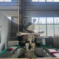 Robot de palettisation pour entrepôt logistique, capacité de charge de 3 kg, 10 kg, 15 kg, 20 kg, 25 kg, 30 kg, 40 kg, 50 kg, pour la manutention de palettes en plastique/papier/marchandises