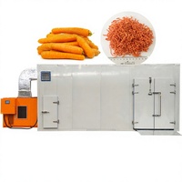 Déshydrateur et sécheur de carottes continu avec PLC et moteur en acier inoxydable 304 haute efficacité