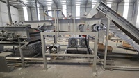 Complete Palmdadels Reinigingsmachine en Verwerkingslijn voor Dadelsproductie