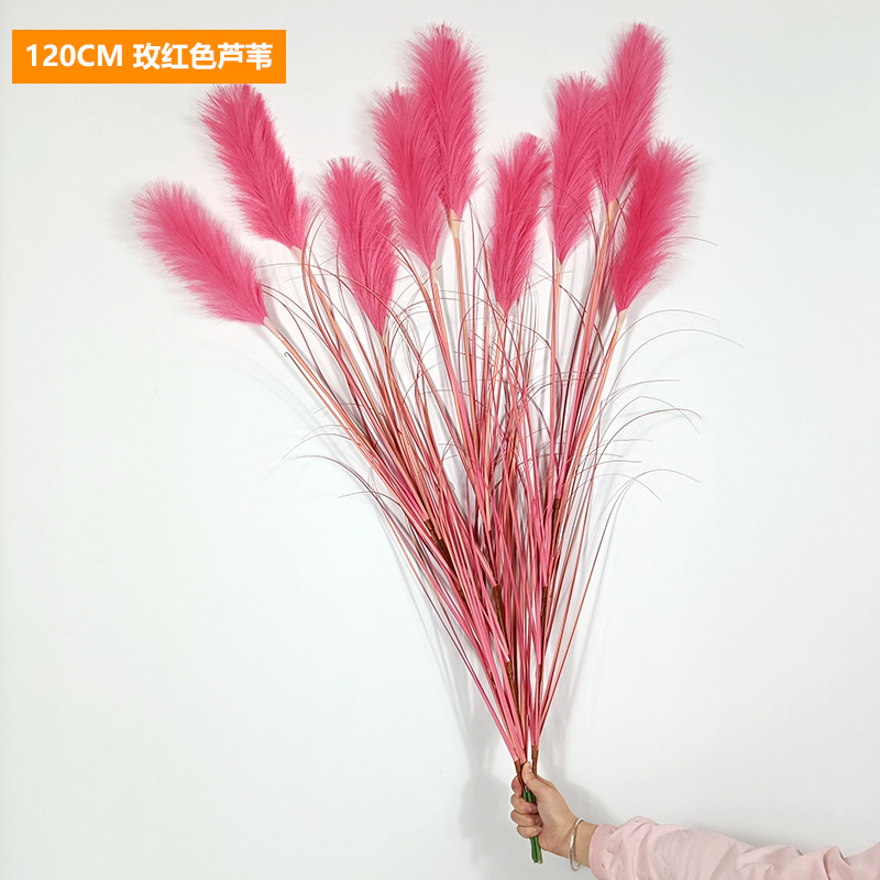 Cañas rojo rosado, 120 cm