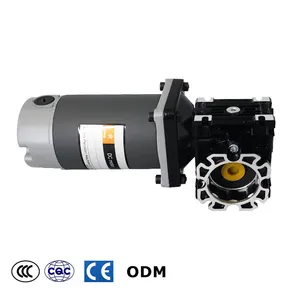 Low Voltage High Voltage 12V-220V 40W-250W Speed Reducer 4IK/5IK/6IK DC Brush Gear Motor