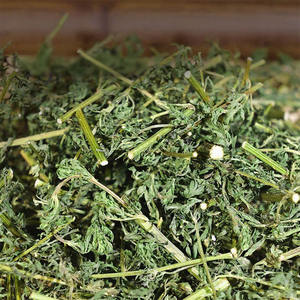 Vente en gros de <span class=keywords><strong>tisane</strong></span> séchée naturellement de haute qualité en vrac <span class=keywords><strong>Artemisia</strong></span> Carvifolia <span class=keywords><strong>tisane</strong></span> - Product Image 4