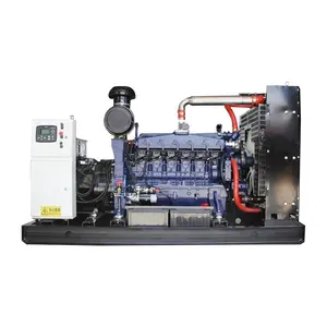 Energía industrial 1500RPM/1800RPM 50Hz/60Hz 1MW 1000 kVA Precio del generador de gas natural