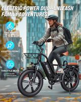 Suzuki Cargo Ebike Meilleures ventes USA 500W 15ah Vélo électrique pour femme Vélo de ville à vitesse unique 48v 20 pouces Vélo e-cargo familial