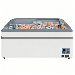 Congelador de Isla para Tiendas de Abarrotes, 65 Pulgadas, Gran Capacidad, Eficiente Energéticamente, con Ruedas Móviles, Congelador Comercial - Product Image 4