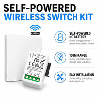 433MHz Self-Powered Wireless Light Switch Receiver Kit No Battery Wall Push Button IP44 Waterproof Remote Smart Home Lamp Gate