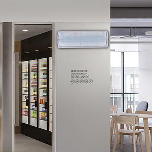 Dẫn vách ngăn đèn khẩn cấp bán buôn IP65 không thấm nước dẫn vách ngăn đèn khẩn cấp nhà để xe 3W dẫn vách ngăn đèn khẩn cấp - Product Image 6