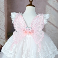 Robe de Fille Enfant Fleurie Charmante de Fée, Sans Manches, avec Applique en Dentelle à l'Arrière en Forme de Papillon Rose, Design Mignon et Gonflé, Dernier Modèle 2025
