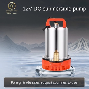 <span class=keywords><strong>Pompe</strong></span> submersible CC 12V/24V en acier inoxydable pour l'industrie automobile OEM, <span class=keywords><strong>arrosage</strong></span> à basse pression, légumes, petite <span class=keywords><strong>pompe</strong></span> à batterie 2LPM - Product Image 5