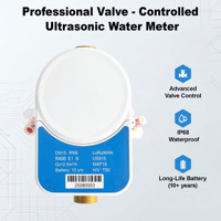Compteur d'eau ultrasonique à froid résidentiel DN20 3/4" avec vanne d'arrêt automatique, lecture à distance LoRaWAN RS485, directement de l'usine