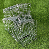 Vente en gros de cage pour animaux vivants en fil de fer métallique piège à renard cage pour chien revêtement en poudre verte piège à chat à double porte