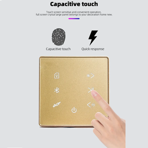 Amplifier dinding rumah pintar, penyetelan Bluetooth untuk latar belakang musik untuk lingkungan Hotel berbicara bahasa Inggris, plastik tahan lama - Product Image 5