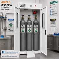 Armoire de stockage pour 3 bouteilles de gaz en acier blanc avec rampe de chargement, personnalisable OEM ODM pour laboratoire, usine, entrepôt, approvisionnement B2B