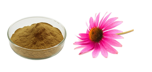 Ekstrak <span class=keywords><strong>Natural</strong></span> purpurea/bubuk ekstrak <span class=keywords><strong>echinacea</strong></span> untuk kapsul - Product Image 3