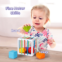 Blocs de formes sensorielles pour tout-petits, développement de la motricité fine, jouets éducatifs Montessori, bac de rangement, trieur de formes, jouets pour bébés