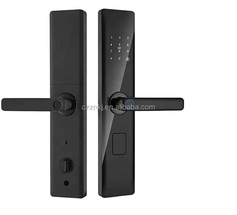Factory Supply Fingerprint Smart Locks Tuya Wifi Card Password Key Control for Apartment Home Hotel Office Bedroom Smart Locks · image 3